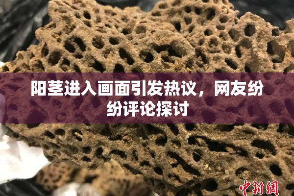 阳茎进入画面引发热议，网友纷纷评论探讨