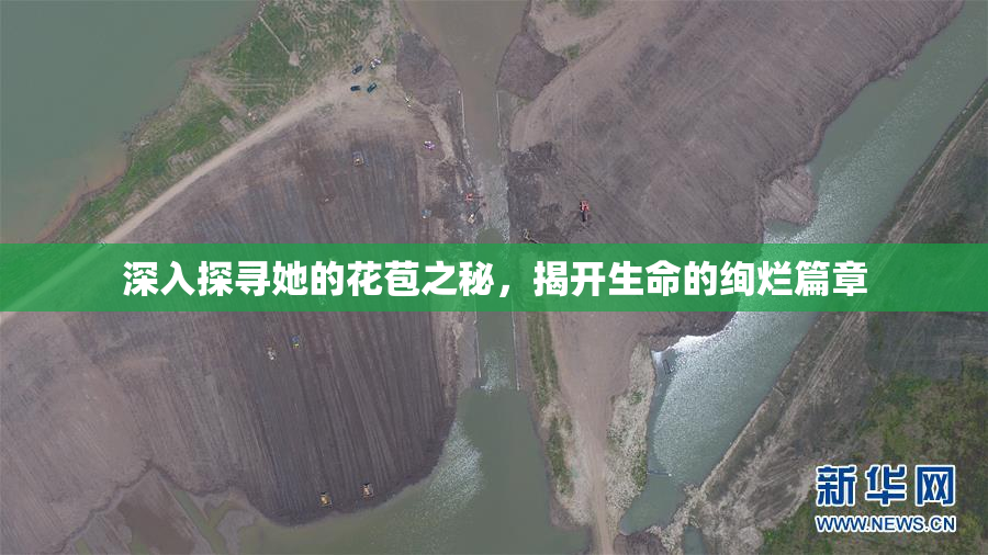 深入探寻她的花苞之秘，揭开生命的绚烂篇章