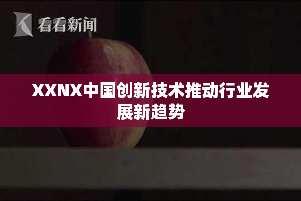 XXNX中国创新技术推动行业发展新趋势