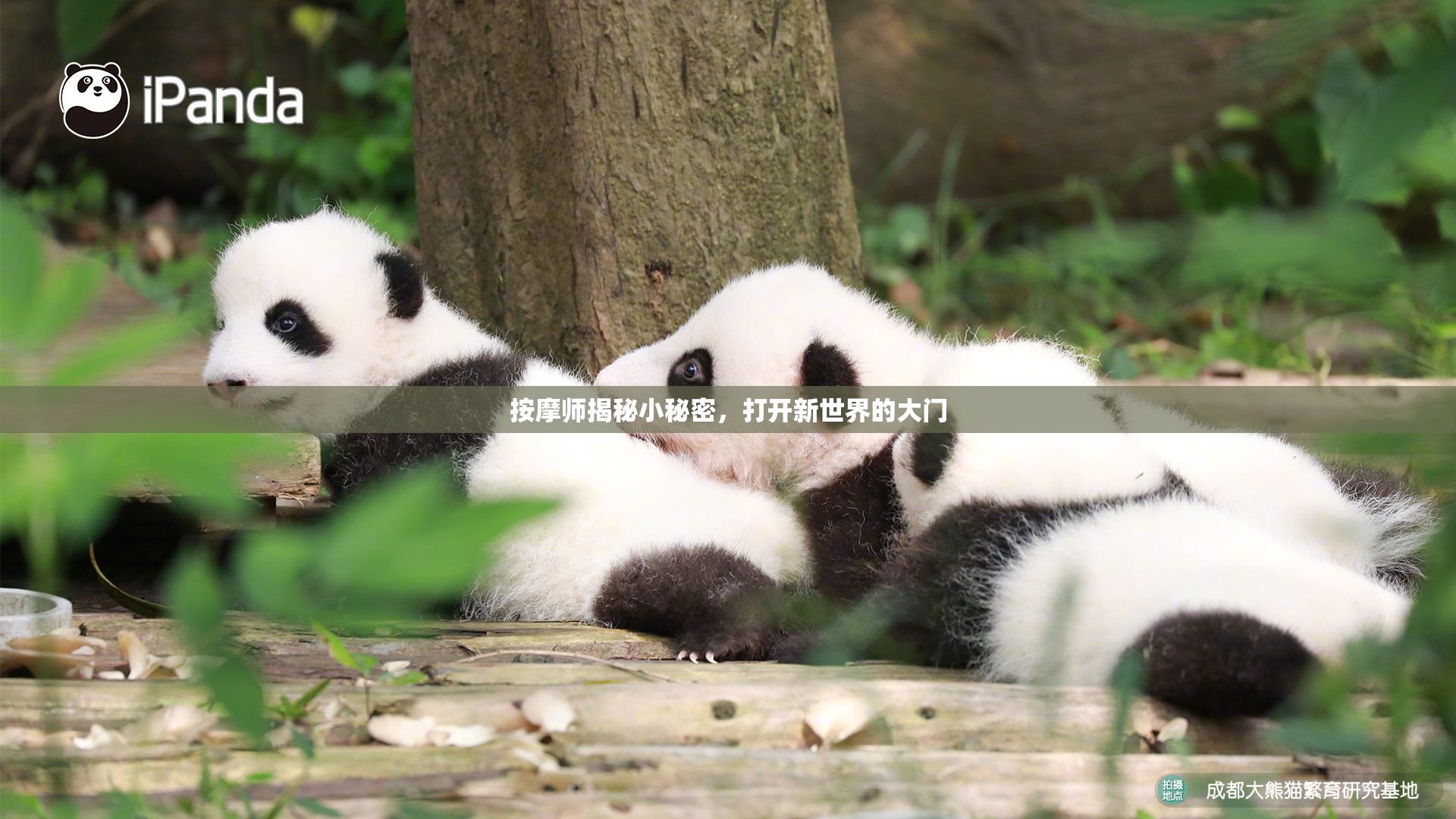 按摩师揭秘小秘密，打开新世界的大门