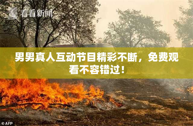 男男真人互动节目精彩不断，免费观看不容错过！