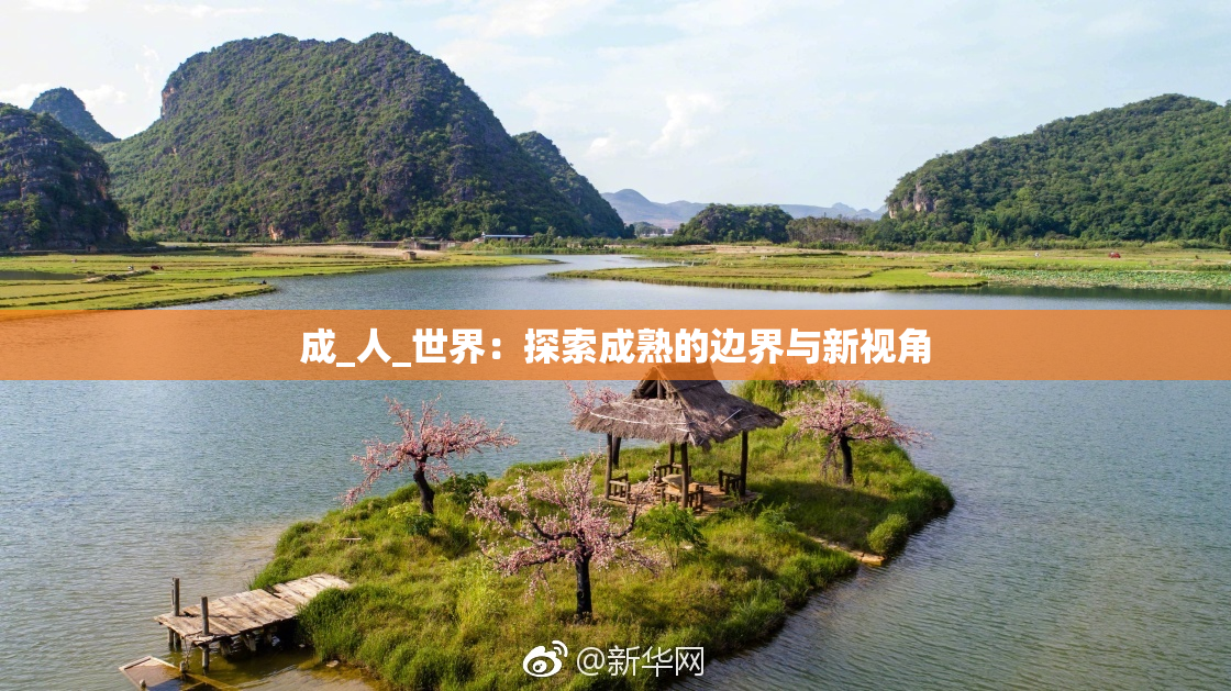 成_人_世界：探索成熟的边界与新视角