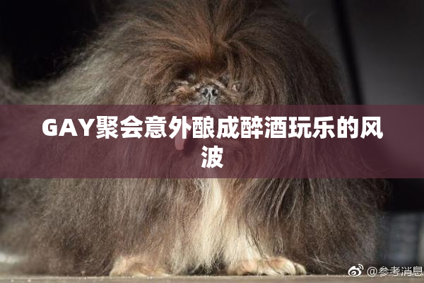 GAY聚会意外酿成醉酒玩乐的风波
