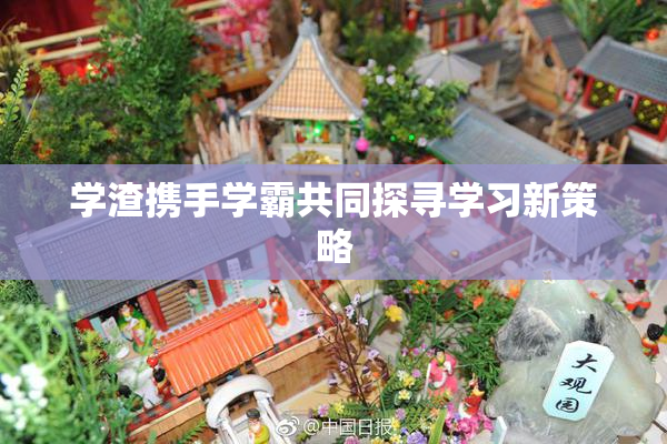 学渣携手学霸共同探寻学习新策略