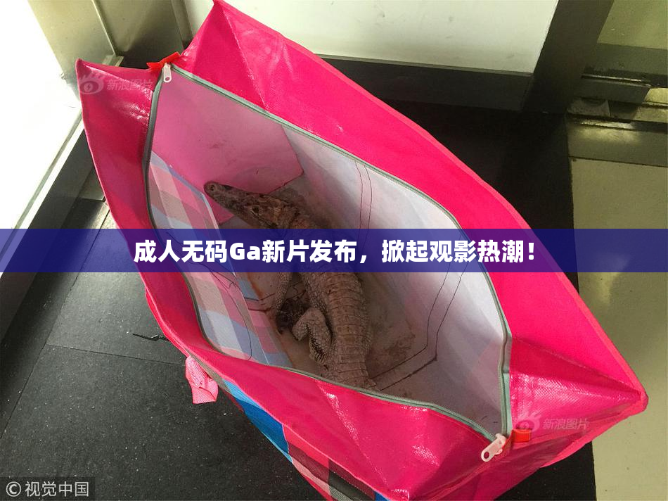 成人无码Ga新片发布，掀起观影热潮！