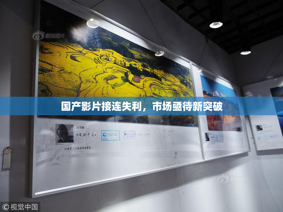 国产影片接连失利，市场亟待新突破