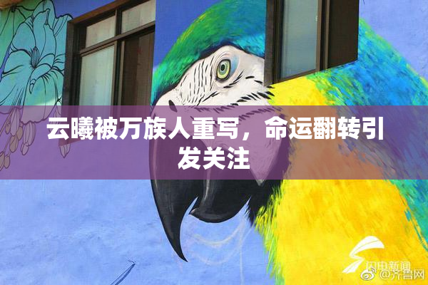 云曦被万族人重写，命运翻转引发关注