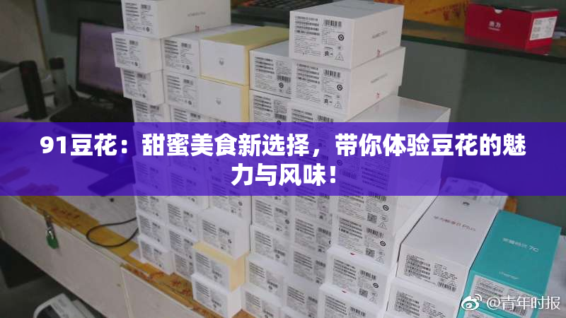 91豆花：甜蜜美食新选择，带你体验豆花的魅力与风味！