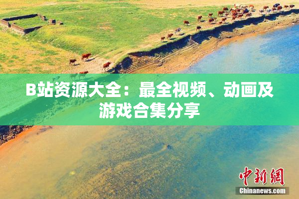 B站资源大全：最全视频、动画及游戏合集分享