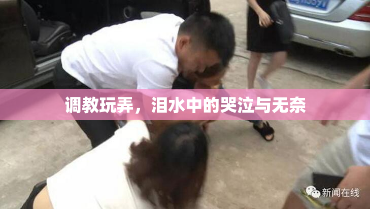 调教玩弄，泪水中的哭泣与无奈