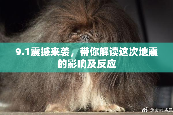 9.1震撼来袭，带你解读这次地震的影响及反应