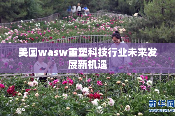 美国wasw重塑科技行业未来发展新机遇