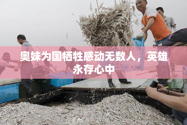 奥妹为国牺牲感动无数人，英雄永存心中