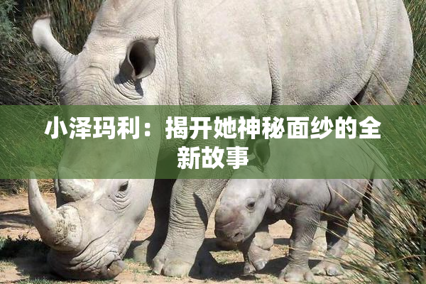 小泽玛利：揭开她神秘面纱的全新故事