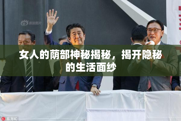 女人的荫部神秘揭秘，揭开隐秘的生活面纱