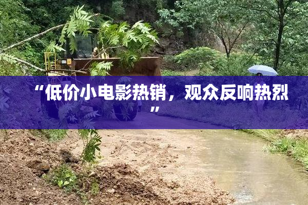 “低价小电影热销，观众反响热烈”