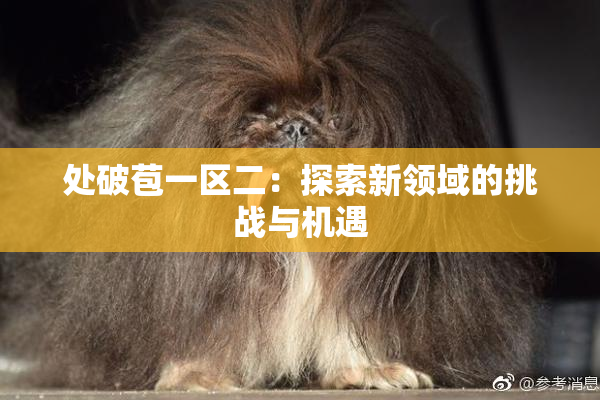 处破苞一区二：探索新领域的挑战与机遇