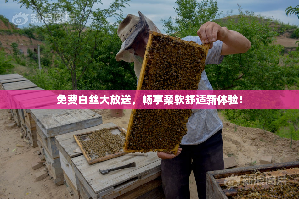 免费白丝大放送，畅享柔软舒适新体验！