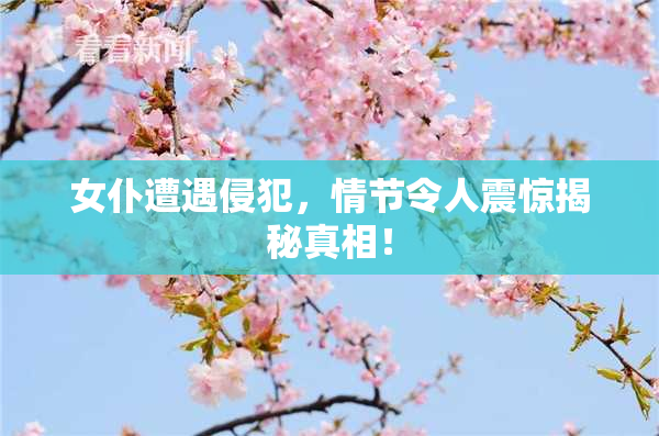 女仆遭遇侵犯，情节令人震惊揭秘真相！