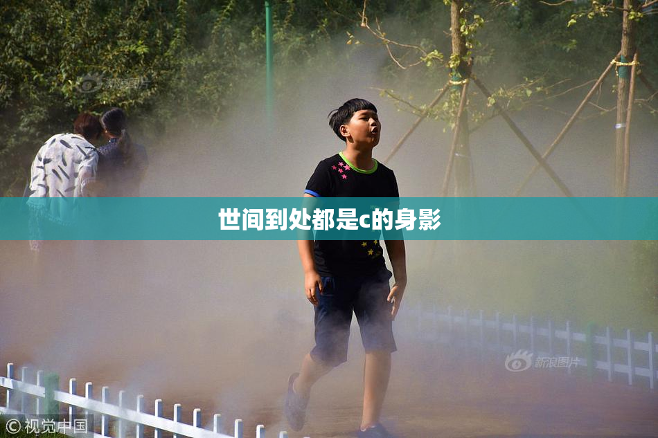 世间到处都是c的身影