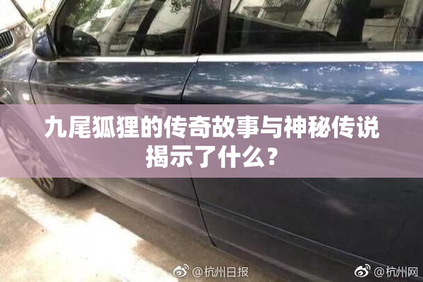 九尾狐狸的传奇故事与神秘传说揭示了什么？