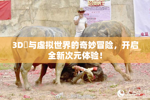 3D姉与虚拟世界的奇妙冒险，开启全新次元体验！