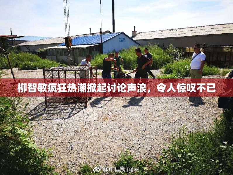 柳智敏疯狂热潮掀起讨论声浪，令人惊叹不已