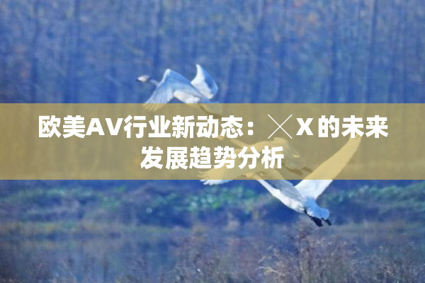 欧美AV行业新动态：╳Ⅹ的未来发展趋势分析