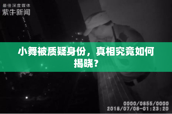 小舞被质疑身份，真相究竟如何揭晓？