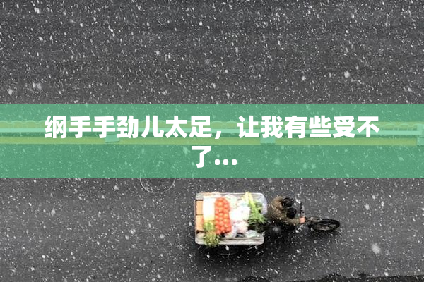 纲手手劲儿太足，让我有些受不了…