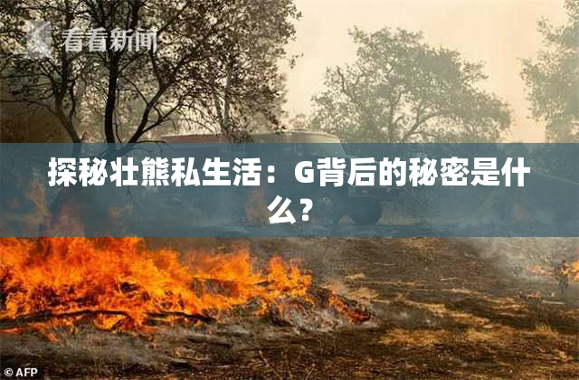 探秘壮熊私生活：G背后的秘密是什么？