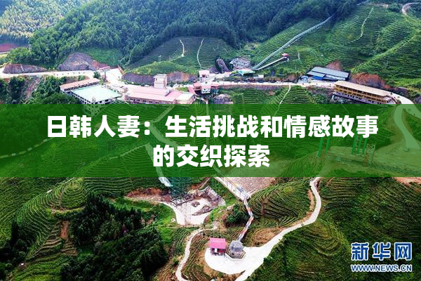 日韩人妻：生活挑战和情感故事的交织探索