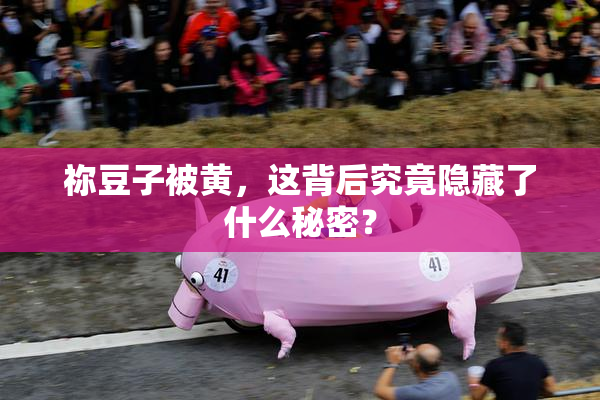 祢豆子被黄，这背后究竟隐藏了什么秘密？