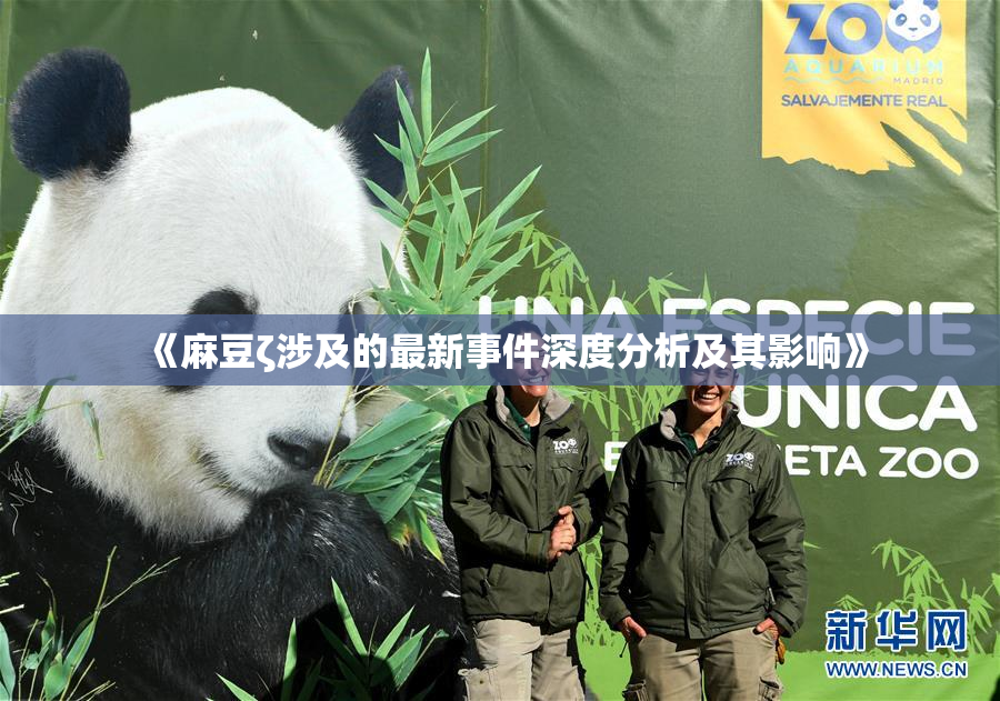 《麻豆ζ涉及的最新事件深度分析及其影响》