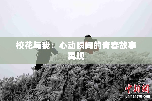 校花与我：心动瞬间的青春故事再现