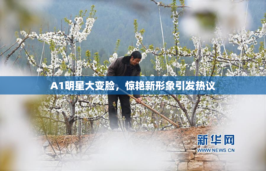 A1明星大变脸，惊艳新形象引发热议