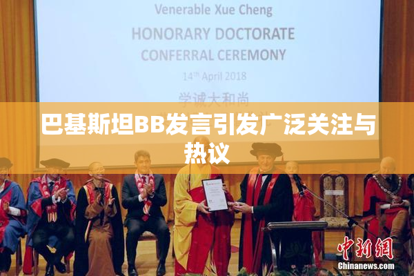 巴基斯坦BB发言引发广泛关注与热议