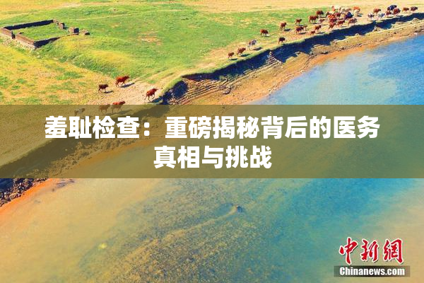 羞耻检查：重磅揭秘背后的医务真相与挑战