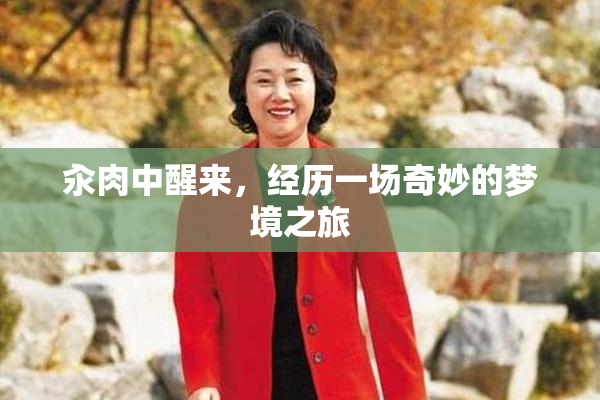 汆肉中醒来，经历一场奇妙的梦境之旅