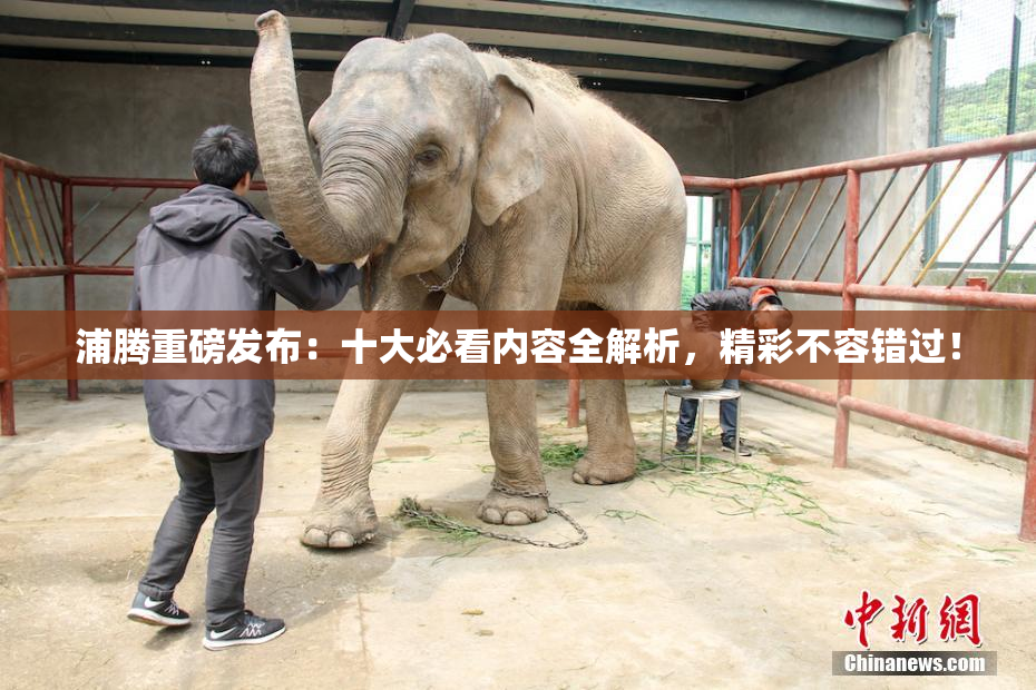 浦腾重磅发布：十大必看内容全解析，精彩不容错过！