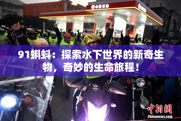 91蝌蚪：探索水下世界的新奇生物，奇妙的生命旅程！