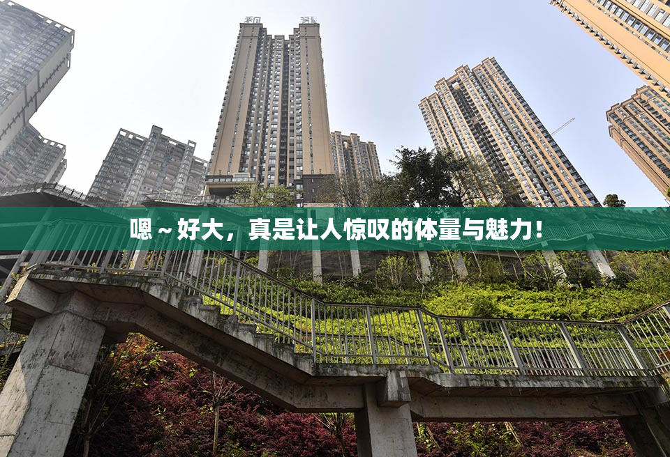 嗯～好大，真是让人惊叹的体量与魅力！