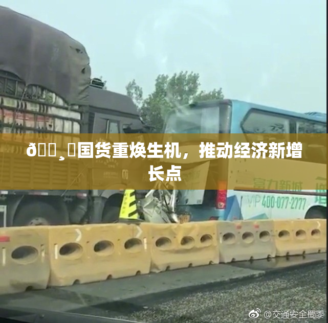 🌸‌国货重焕生机，推动经济新增长点