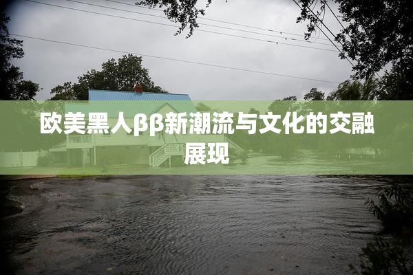 欧美黑人ββ新潮流与文化的交融展现