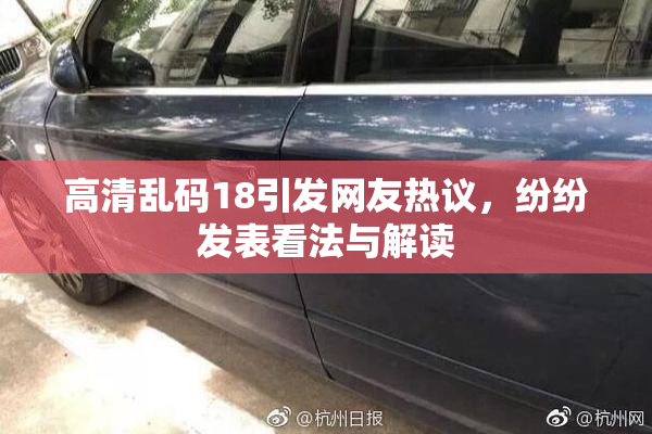 高清乱码18引发网友热议，纷纷发表看法与解读