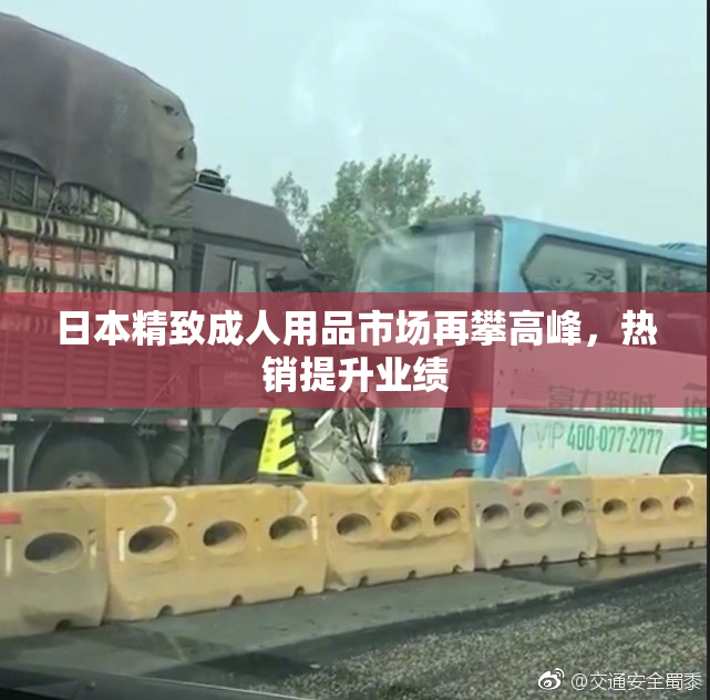 日本精致成人用品市场再攀高峰，热销提升业绩