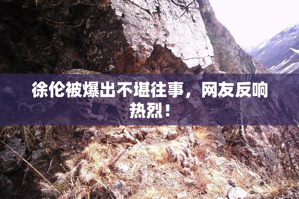 徐伦被爆出不堪往事，网友反响热烈！