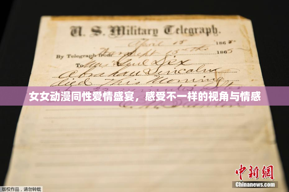 女女动漫同性爱情盛宴，感受不一样的视角与情感
