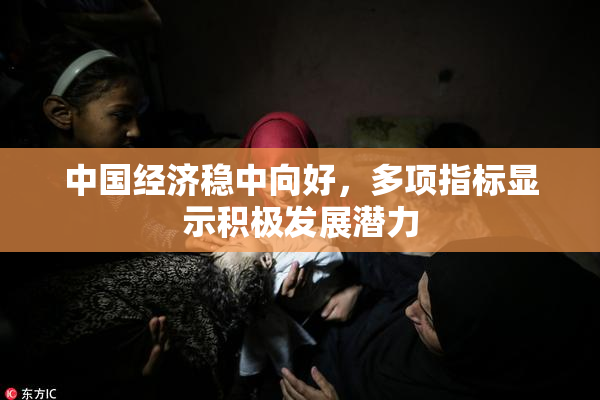 中国经济稳中向好，多项指标显示积极发展潜力