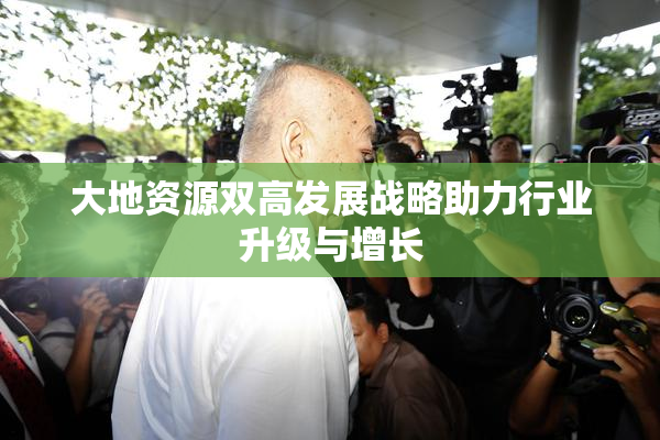 大地资源双高发展战略助力行业升级与增长